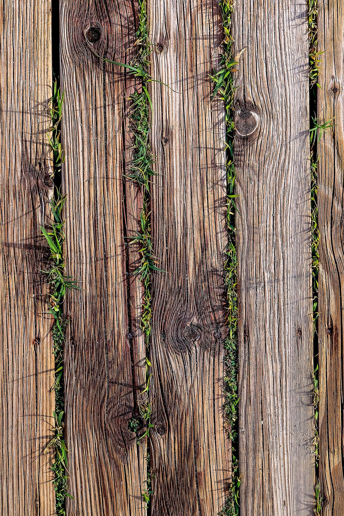 Tapis (50 x 80) Wookece221