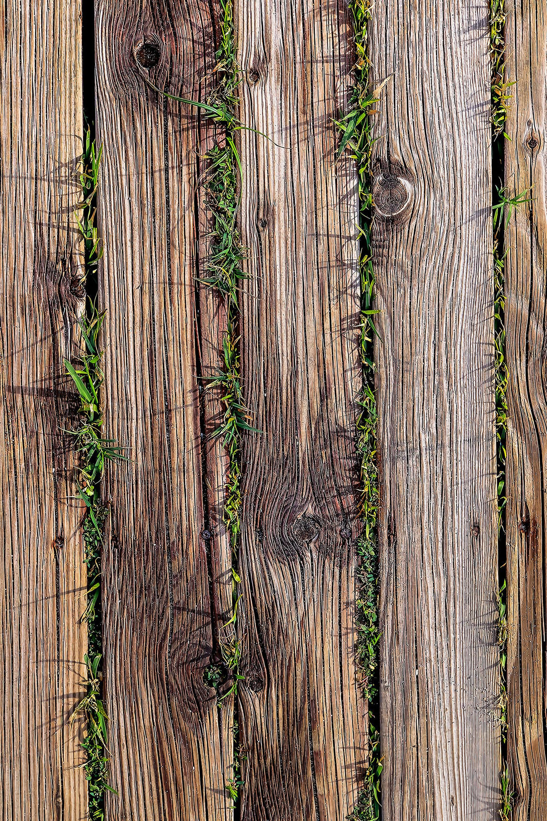 Tapis (50 x 80) Wookece221