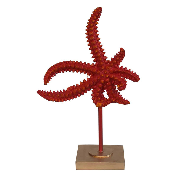 Décoration en forme d'étoile de mer