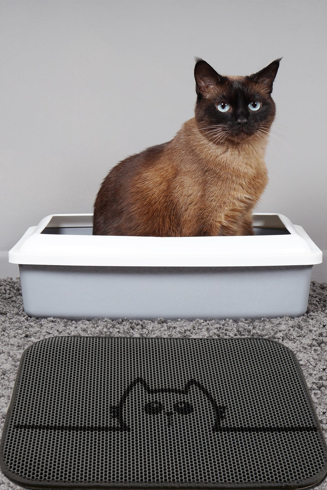 Tapis de litière pour chats Cat Litter Mat Hide