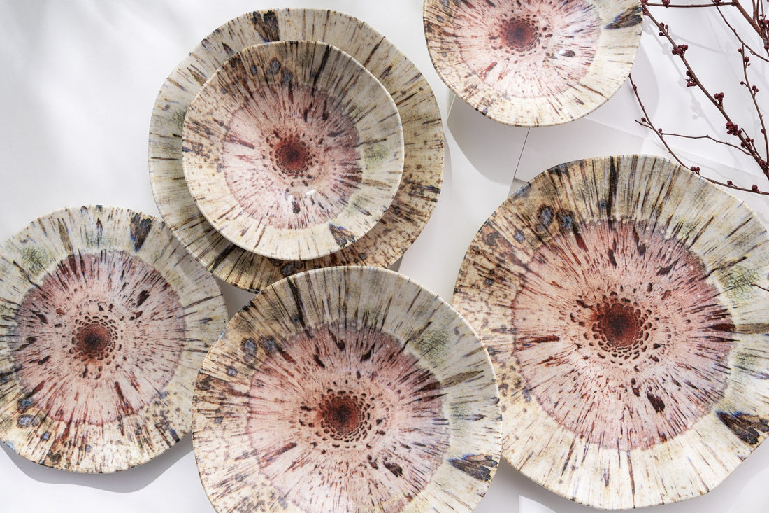 Dîner (24 pièces) RGBSNES24Y1159