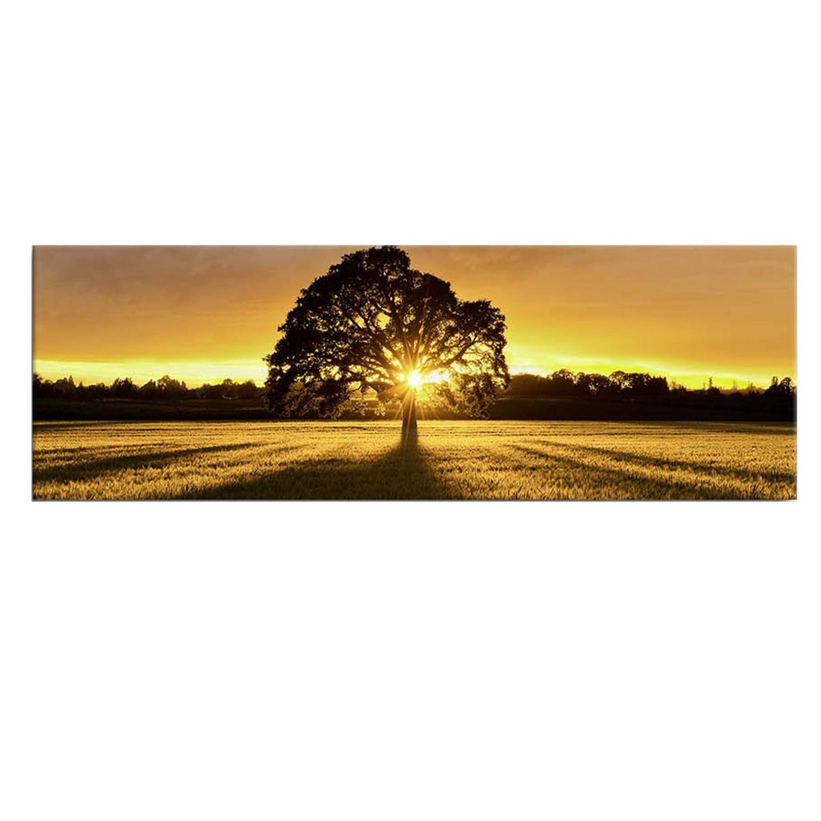 Peinture de toile éclairée à LED décorative 3090DACT-68