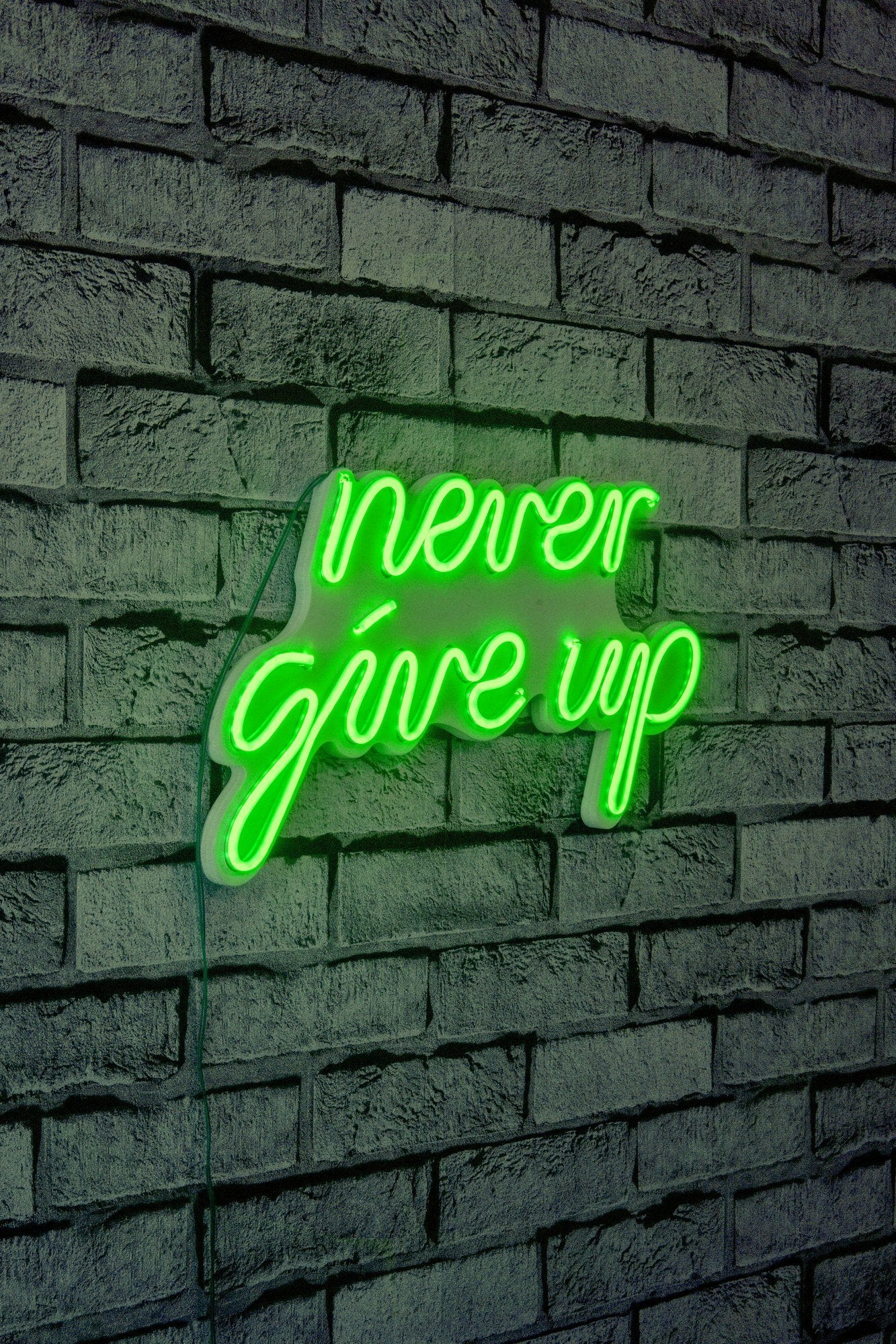 Éclairage LED en plastique décoratif Never Give Up - Green