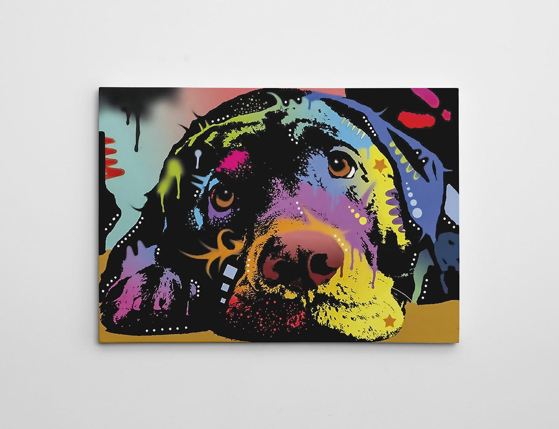 Peinture de toile décorative WY164 (50 x 70)