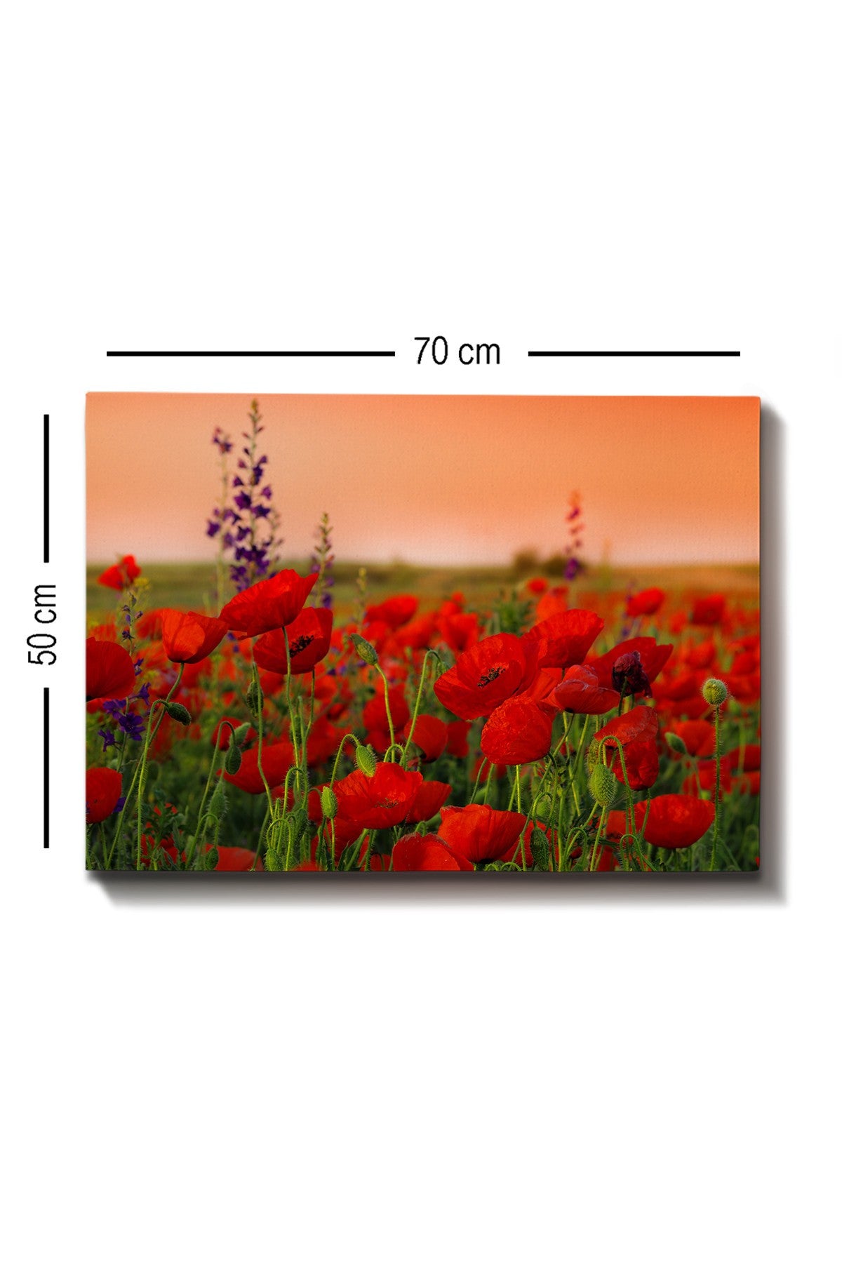 Peinture de toile décorative toile de peinture (50 x 70) - 1