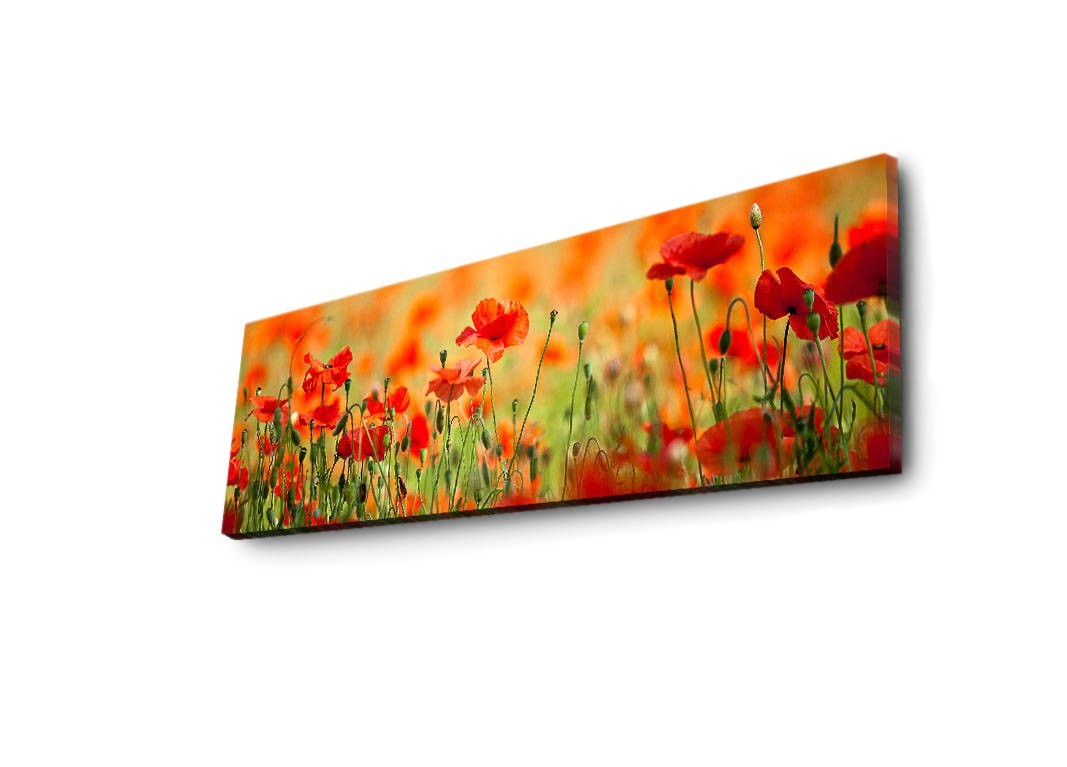 Peinture de toile éclairée à LED décorative 3090İACT-13