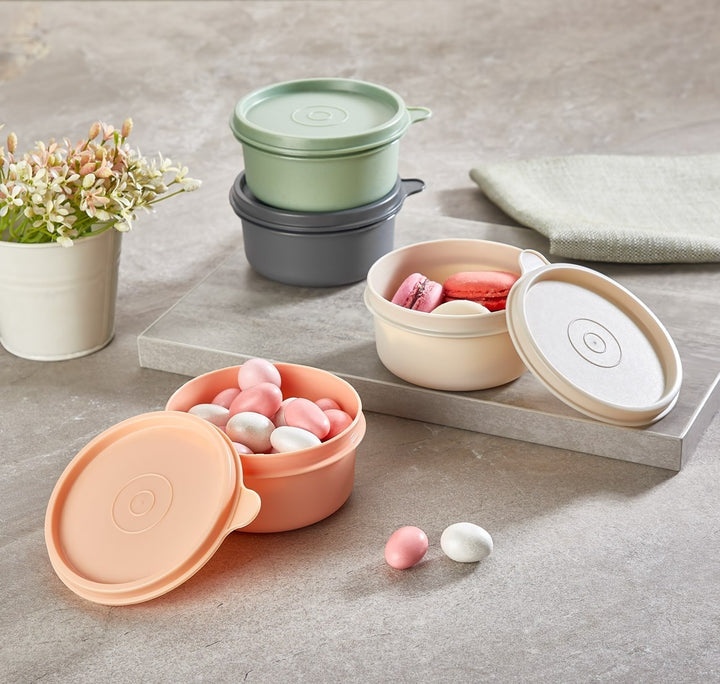 Storage Box Set (4 Pieces) SC-4277