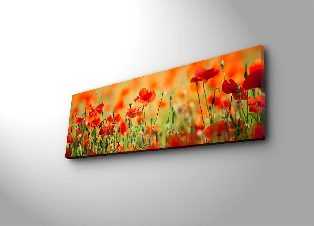 Peinture de toile éclairée à LED décorative 3090İACT-13