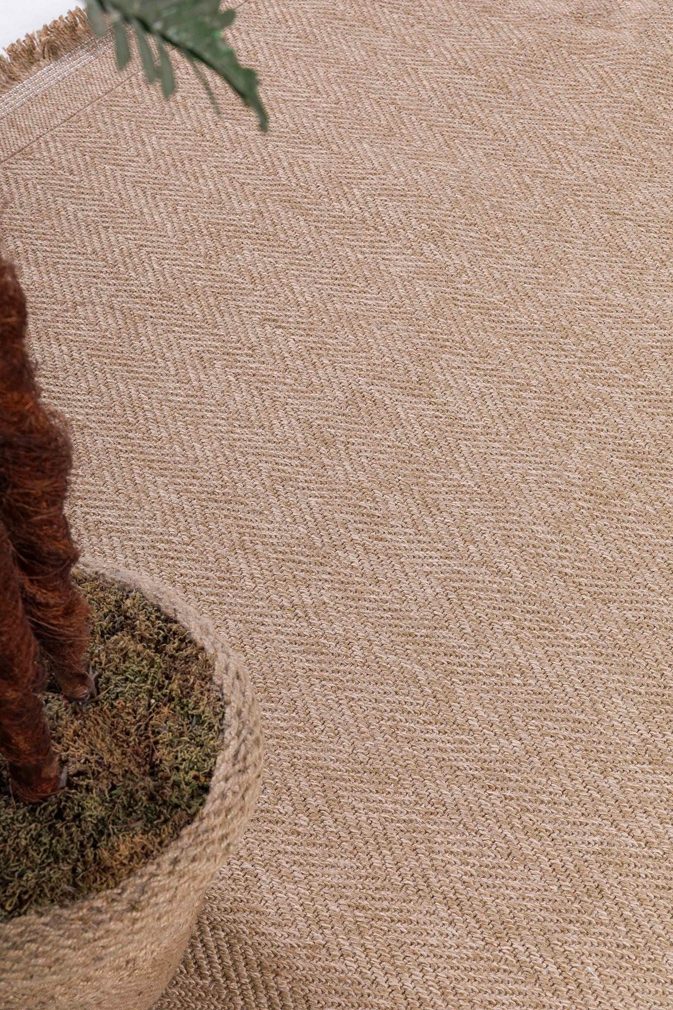 Tapis (120 x 170) 08753A - Cream