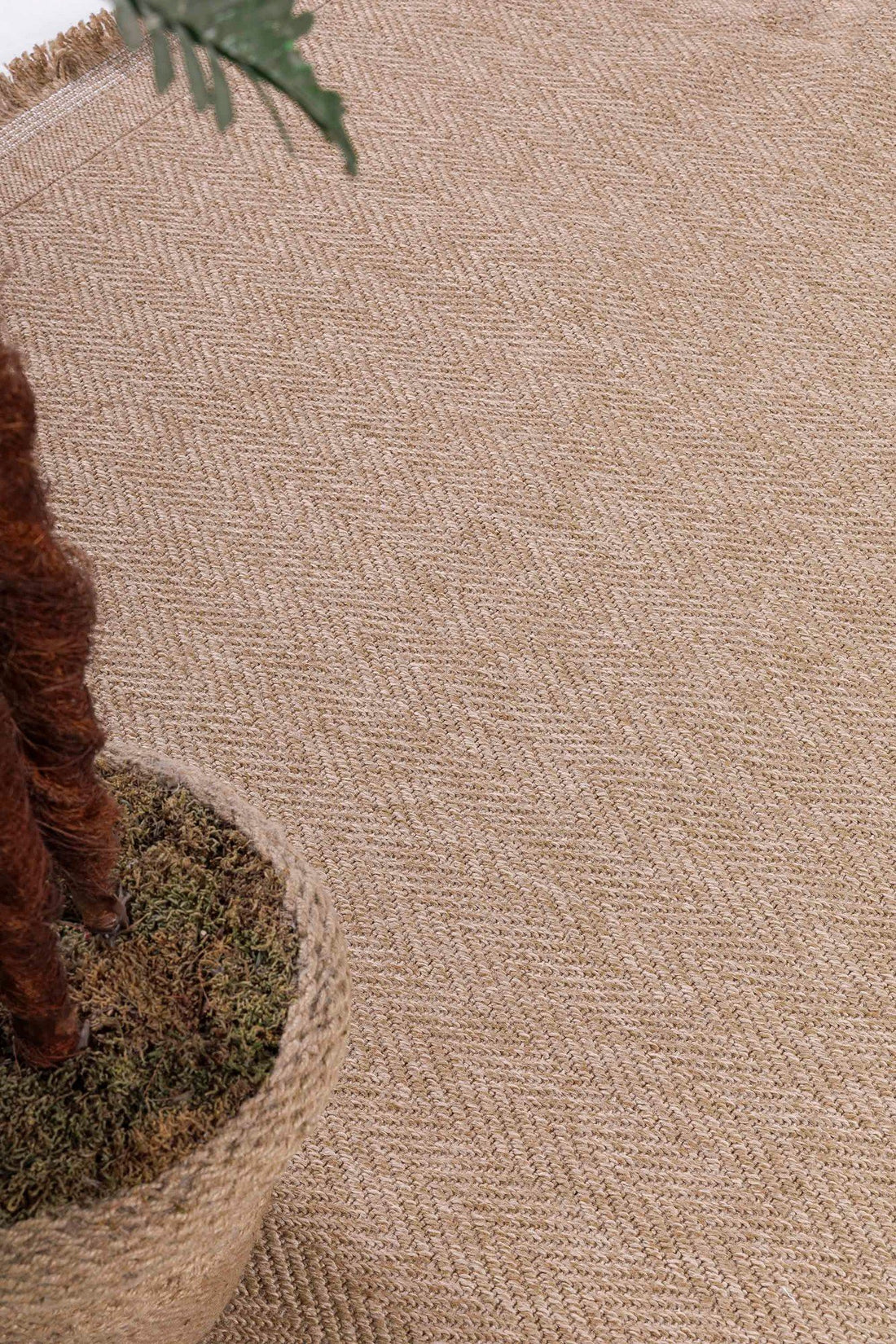 Tapis (120 x 170) 08753A - Cream