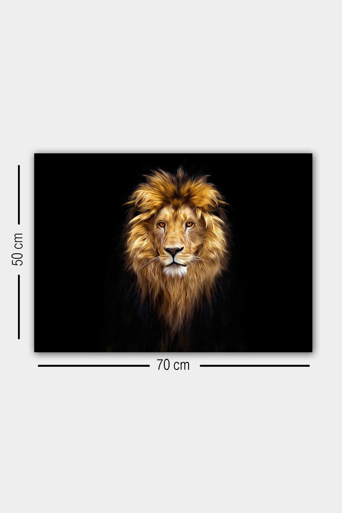 Peinture de toile décorative 353413202-5070