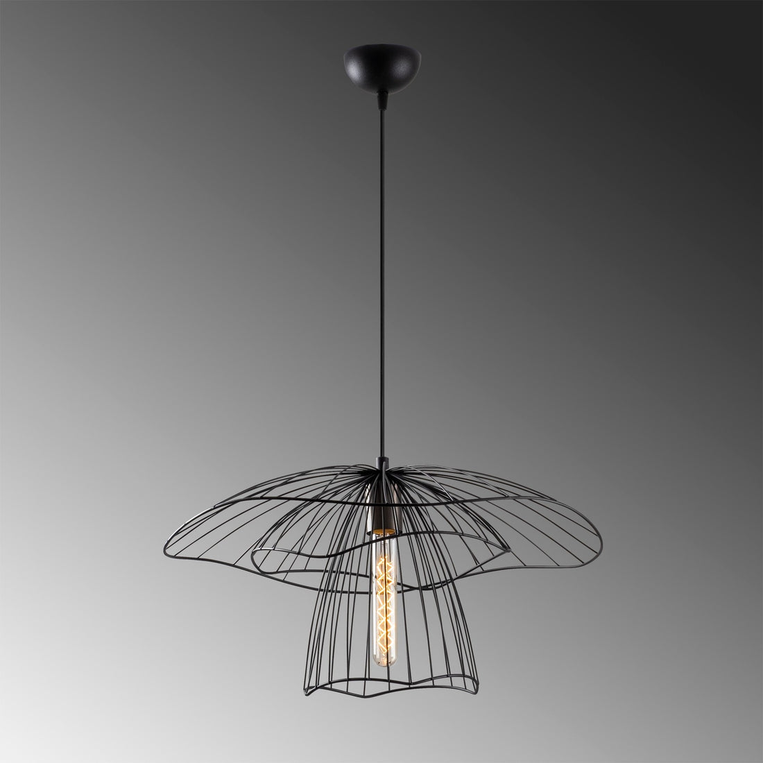 Lustre Tel - 6504