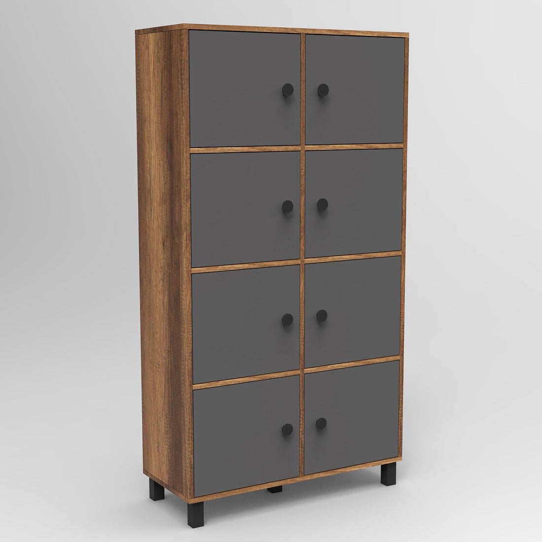 Armoire à plusieurs usage MN06-BA