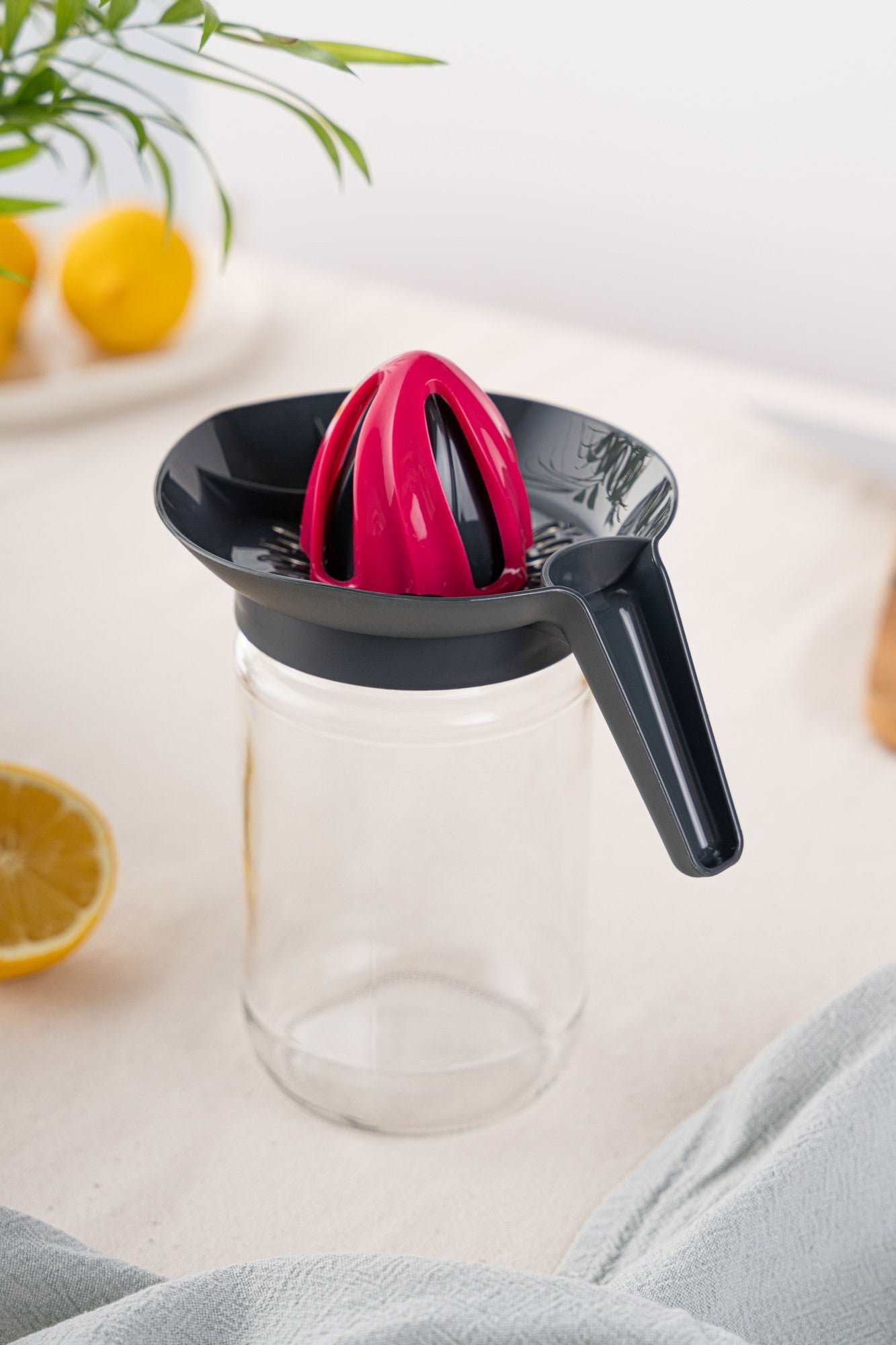 Alsin de citron TrGLosqPnkP01-66