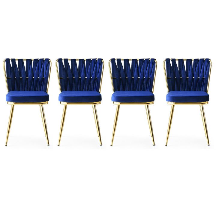 Ensemble de chaise (4 pièces) Kuşaklı - 209 V4