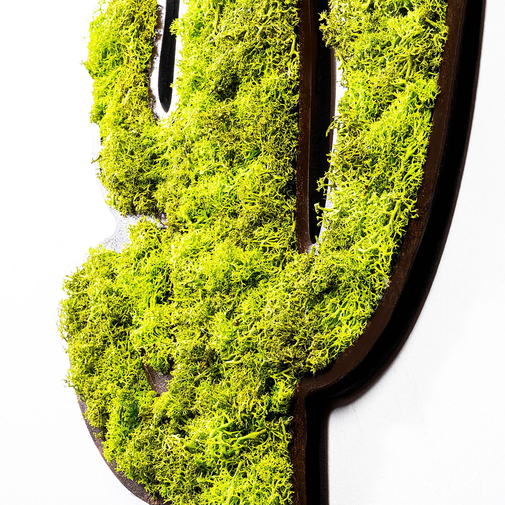 Accessoire mural décoratif Cactus